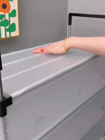 Space Saving Multi-Layer Dustproof Shoe Rack