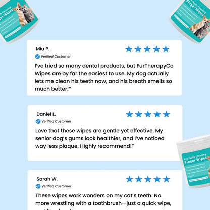 FreshWipes Kit – Protects Against Dental Diseases