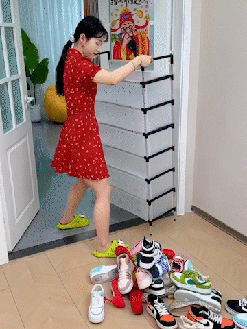 Space Saving Multi-Layer Dustproof Shoe Rack
