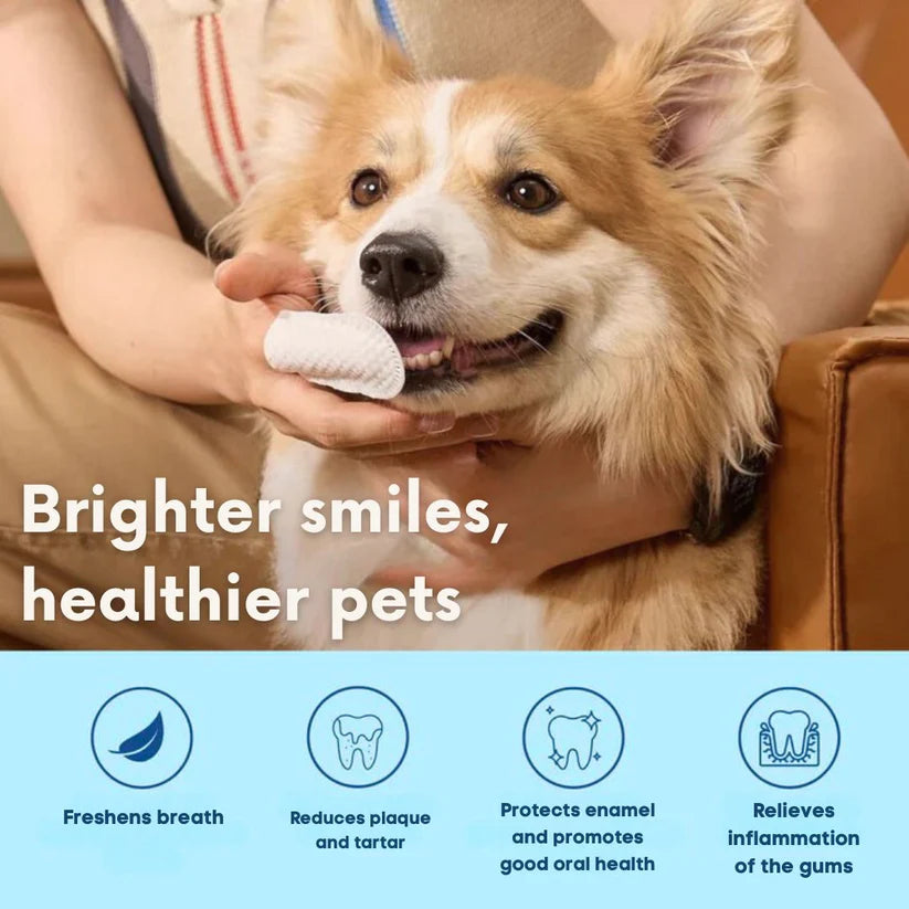 FreshWipes Kit – Protects Against Dental Diseases