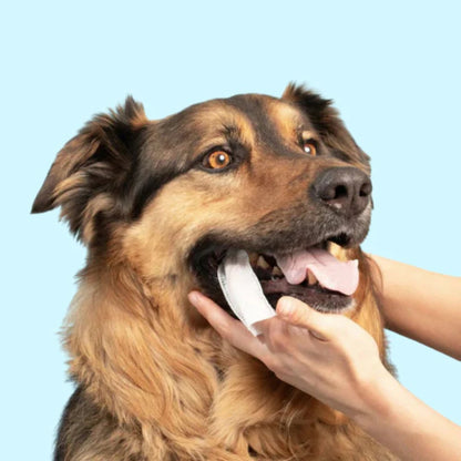 FreshWipes Kit – Protects Against Dental Diseases