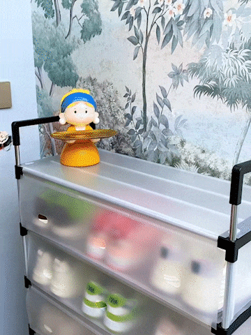 Space Saving Multi-Layer Dustproof Shoe Rack